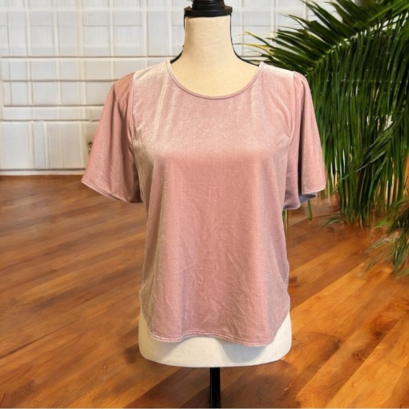 MADEWELL Blush Pink Velvet Butterfly Sleeve Top - Small - Picture 1 of 13